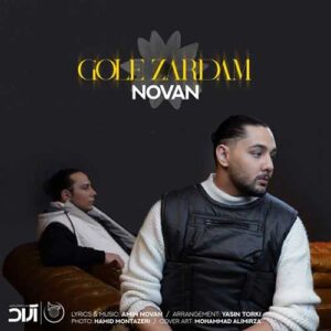 دانلود آهنگ گل زردم نوان